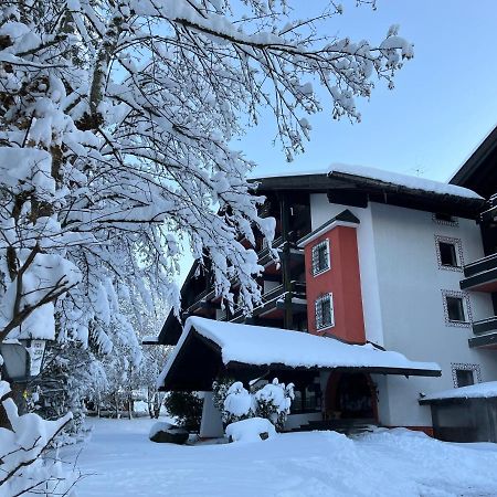 B&B In Seefeld Seefeld w Tirolu Zewnętrze zdjęcie